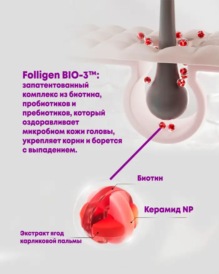 Folligen Silk Shampoo