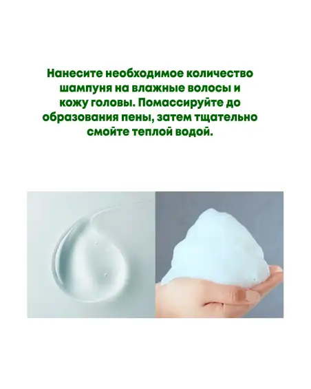 Phyto Fresh Shampoo