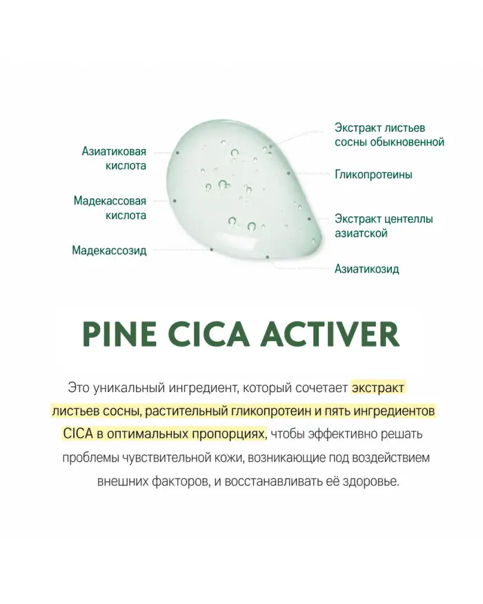 Pine Calming Cica Cream