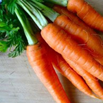 Экстракт корня моркови