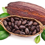Экстракт какао бобов